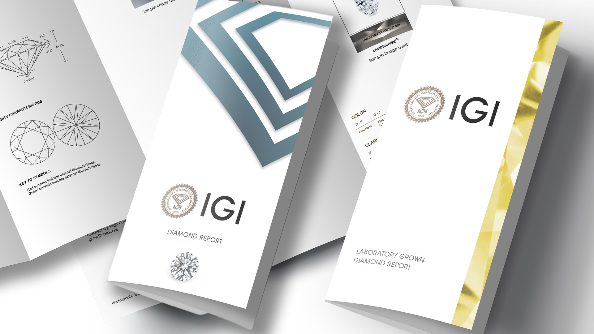 IGI-reaffirms-committment-.jpg
